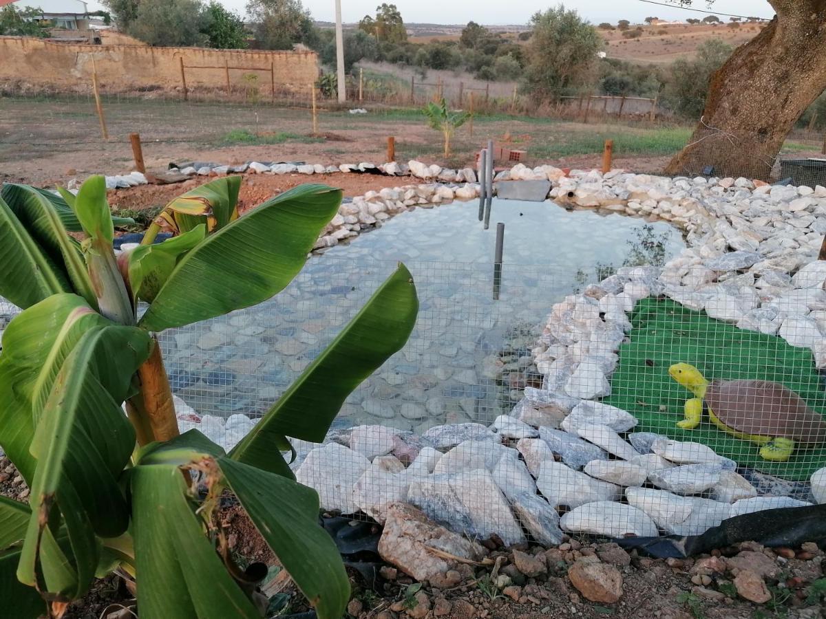 הוילה רגואנגוס דה מונסאראז Monte Beatriz מראה חיצוני תמונה